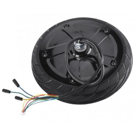 Moteur 250W