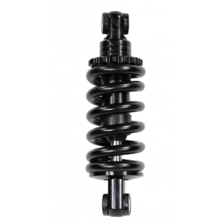 Suspension arrière