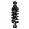 Suspension arrière