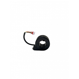 GY-0065R - Accelerator - GYPI