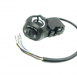 Multifunction switch