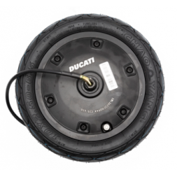 DUCATI Origine - Ensemble roue arrière 10x2,5_6,5 (moteur inclus + ensemble catiEcrous) 36V 350W