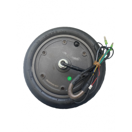 GY-0076R - Moteur 350w monté complet 8,5"