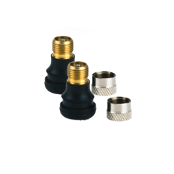 GY084B - Valve pour pneu Tubeless X 2 (sous Skinpack Linéaire) - GYPI