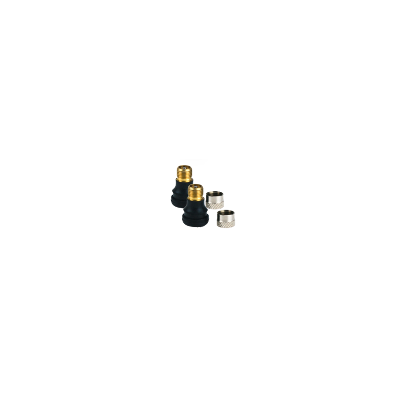 GY084B - Tubeless X 2 tire valve (under Linear Skinpack) - GYPI GY084B - Tubeless X 2 tire valve (under Linear Skinpack) - GYPI