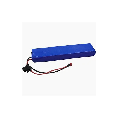 E-Twow BATTERIE 48V 9,6AH